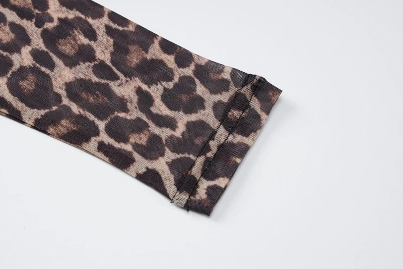 Mesh Leopard Print Maxi Dress Valentina Rose